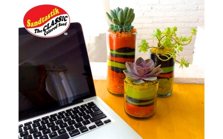 Desktop Succulent Garden